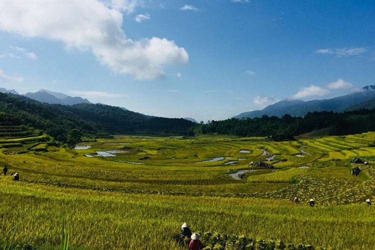 MAI CHAU - Pu Luong Eco Garden – The Mountain Retreat
